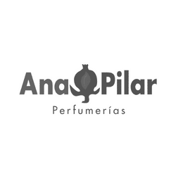 Diseño web Granada para Ana Pilar Perfumerías